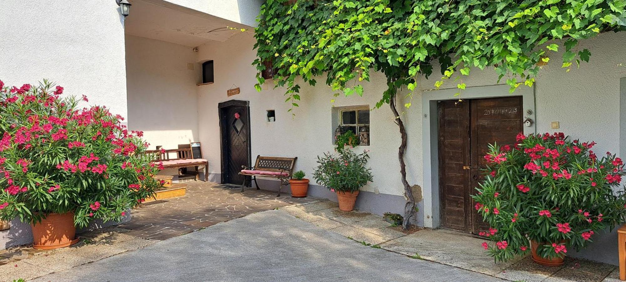 Ana Antloga Apartments Bled Eksteriør bilde